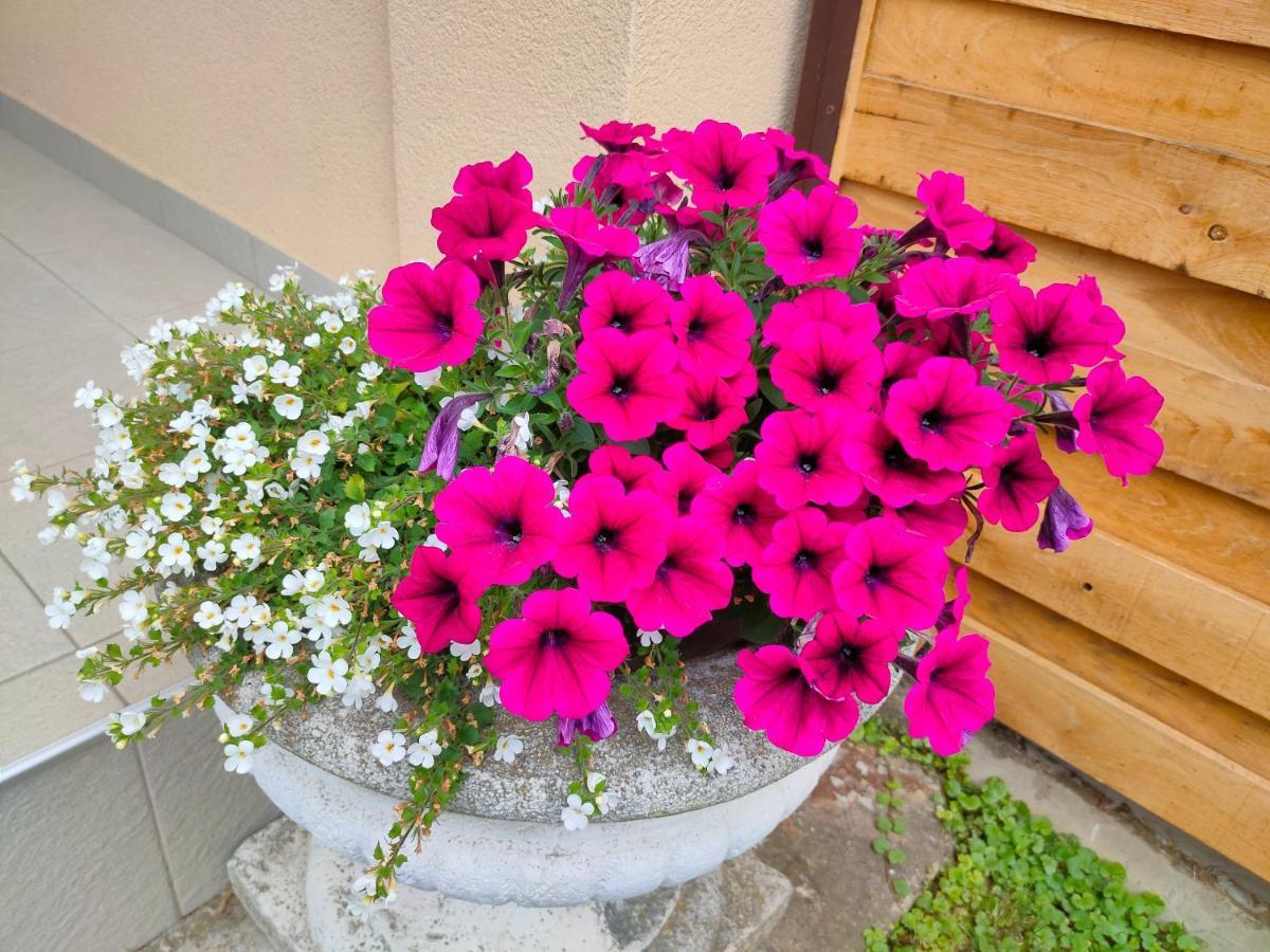 Studio Apartman The Little Prince Bjelovar Exterior foto